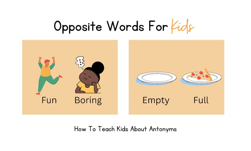 opposite words for kids